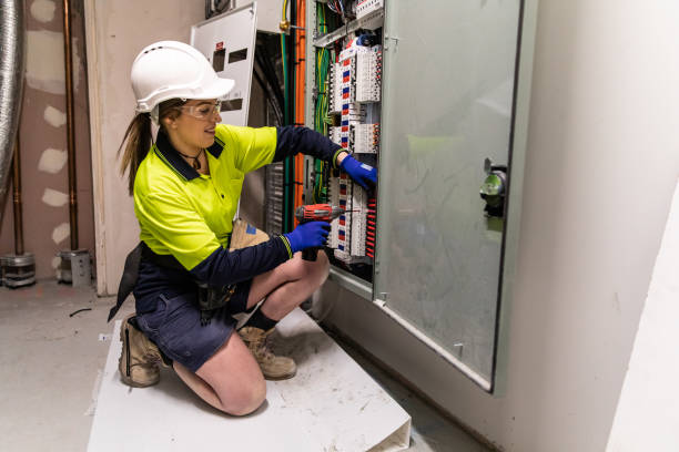 Best Electrical System Inspection  in Dagsboro, DE